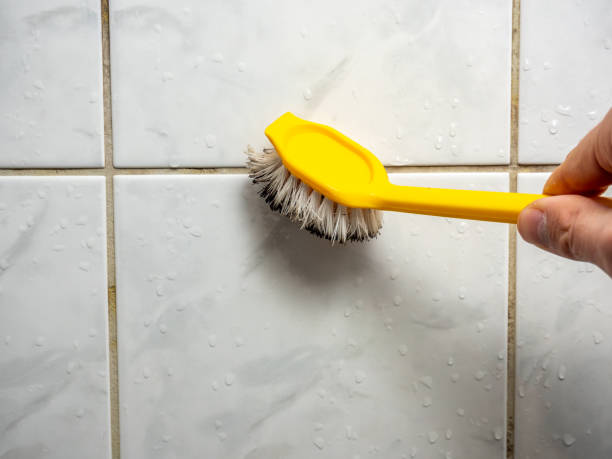 Trusted Larimore, ND Mold Remediation Experts