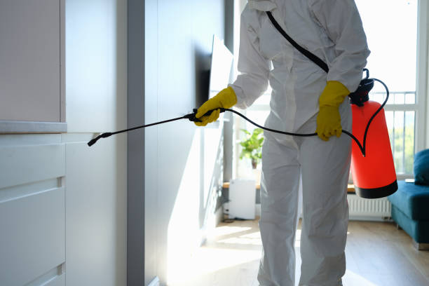 Best Residential Mold Remediation in Larimore, ND