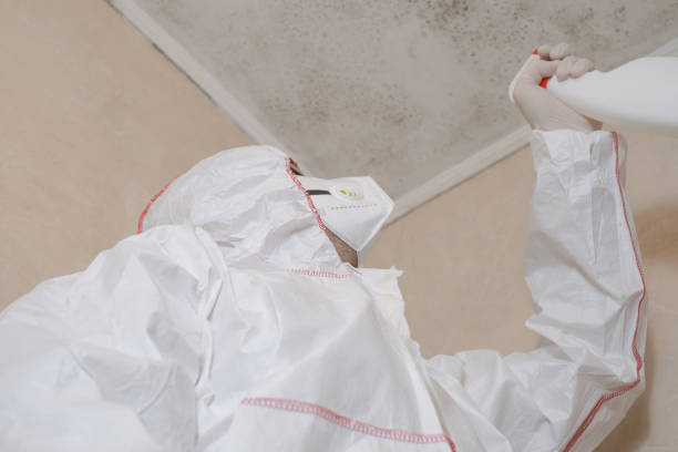 Best Residential Mold Remediation in Larimore, ND