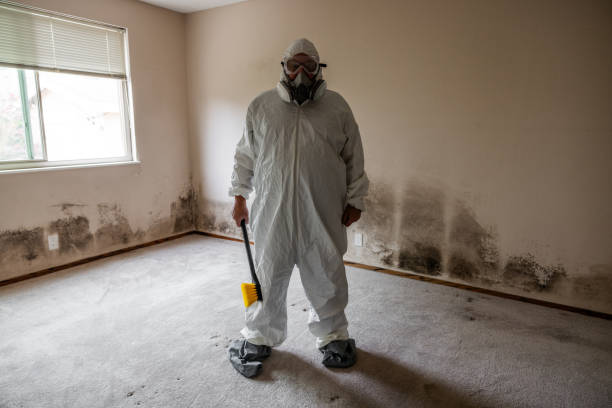 Best Commercial Mold Remediation in Larimore, ND